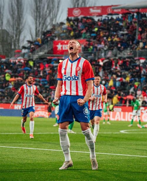 Zibet Betting: Ultimate Guide and Strategies